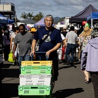 Avondale Racecourse closure sparks battle over housing, park and market