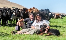 South African dairy farmers on high alert for foot-and-mouth return