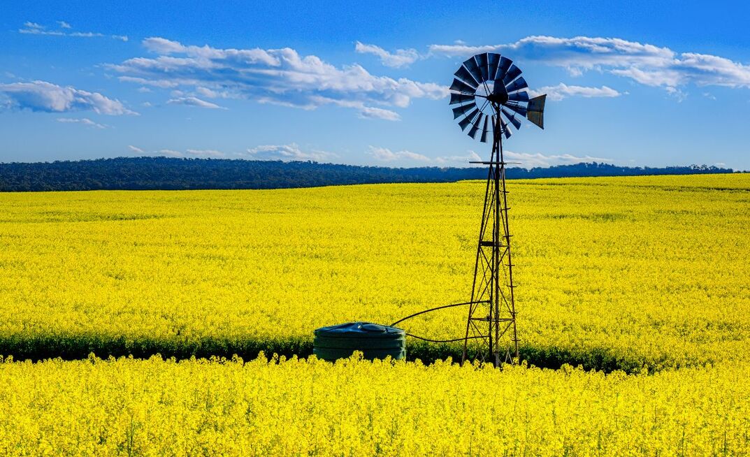 GIWA has increased its WA crop production estimates following recent rain. 