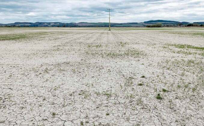 Dry weather stunts grass and crop growth