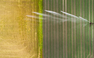 Severe UK drought sparks call to prioritise water for food growing