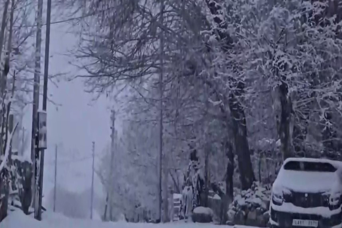 Leh turns into winter wonderland with first snowfall