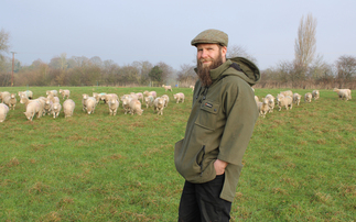 Sheep special: Electric fencing key to maximising mixed farm potential