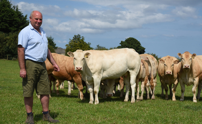 After purchasing four Blonde heifers in the 1970s from only the second importation of the breed into the UK, James Weightman and his family run one of the oldest British Blonde herds in the country