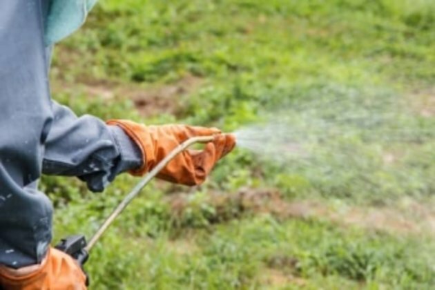 Monsanto must pay couple $2bn in over cancer claims