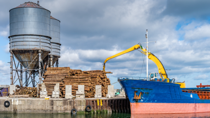 Timber imports continue strong market recovery