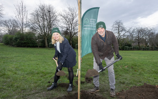 White Rose Forest launches plan to plant 134 million trees