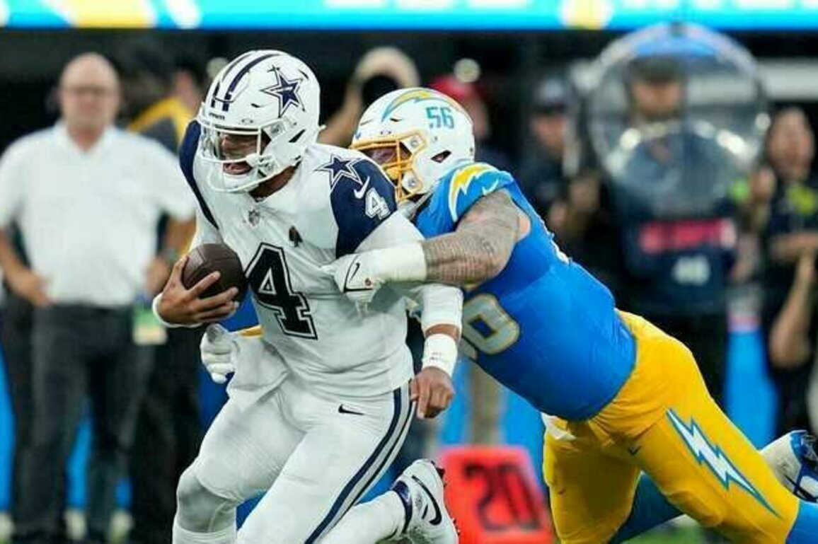 Falcons sign DL Morgan Fox
