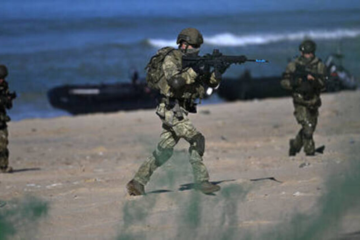 France calls for NATO drills in Greenland amid Trump takeover threats - media