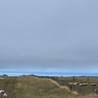 Northland farmers welcome heavy rainfall, president of Federated Farmers Northland says