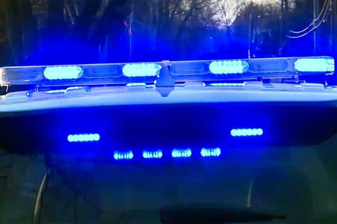 Shooting of 4-year-old leads to discovery of crocodile, 30 snakes and drugs inside Alabama home
