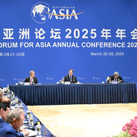 CHINA-HAINAN-BOAO-DING XUEXIANG-BFA-BOARD OF DIRECTORS-MEETING (CN)
