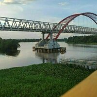 Jejak kejayaan pangan di tanah handil, mungkinkah bisa hidup kembali?