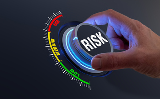 Own risk assessments just moderately valuable, say pension professionals
