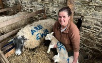 In your field: Kate Rowell – "It's definitely brought home to me just how much we rely on our family to get things done on-farm"