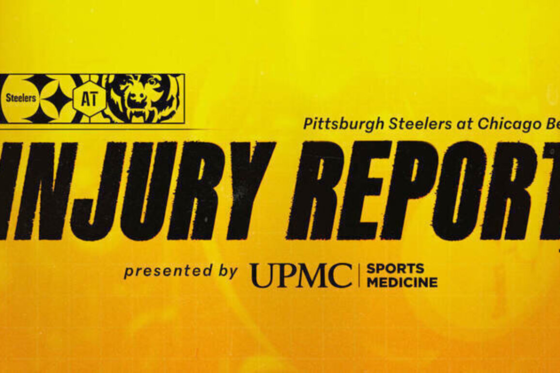 Week 12 Injury Report (Bears)