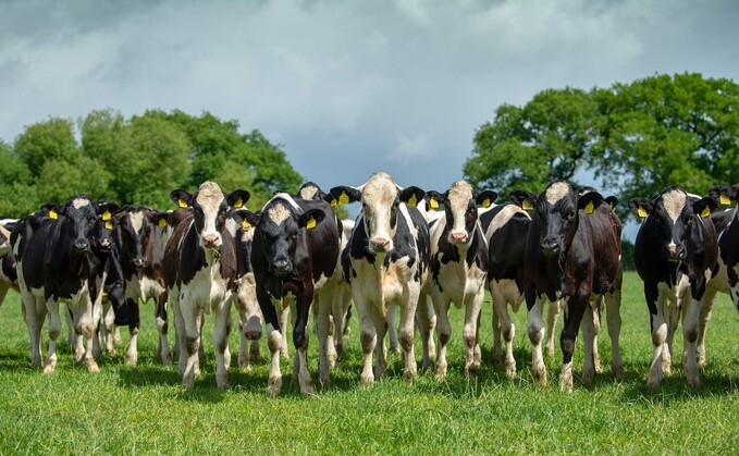 Producers should keep an eye on inbreeding within their herds, said Marco Winters, of AHDB.