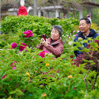 (ShandongHorizon) CHINA-SHANDONG-SPRING-SCENERY (CN)