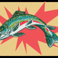 Opinion- An Informed Angler is a Sustainable One