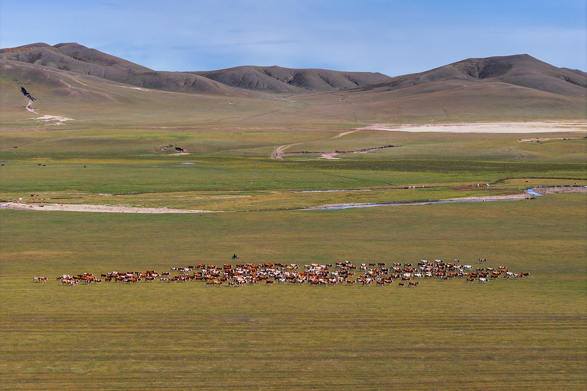 CHINA-INNER MONGOLIA-JARUD BANNER-HERDERS-PASTURE-TRANSFERRING (CN)
