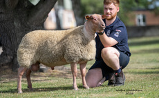 Sales round up: Rouge and Bleus at Carlisle, young handlers, local market shows and sale