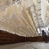 South China's Guangxi embraces smarter silkworm industry