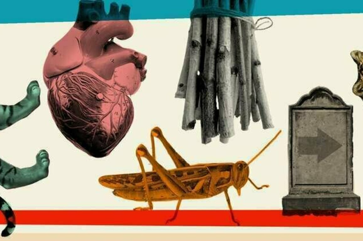 5 great reads by South African writers from 30 years of real-life stories