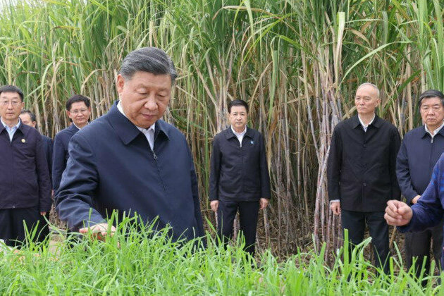 Guangxi to play key role in China's opening to the world