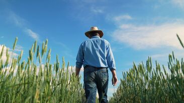 Farmers and other agricultural workers are at higher risk of developing skin cancers than the general population, so should take adequate measures to protect themselves and their employees. 