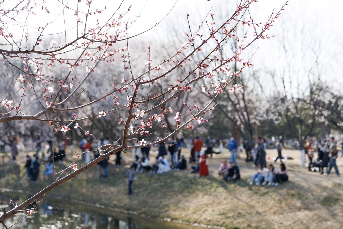CHINA-BEIJING-SPRING ECONOMY-PARKS-FAIR-CULTURAL AND CREATIVE PRODUCTS (CN)
