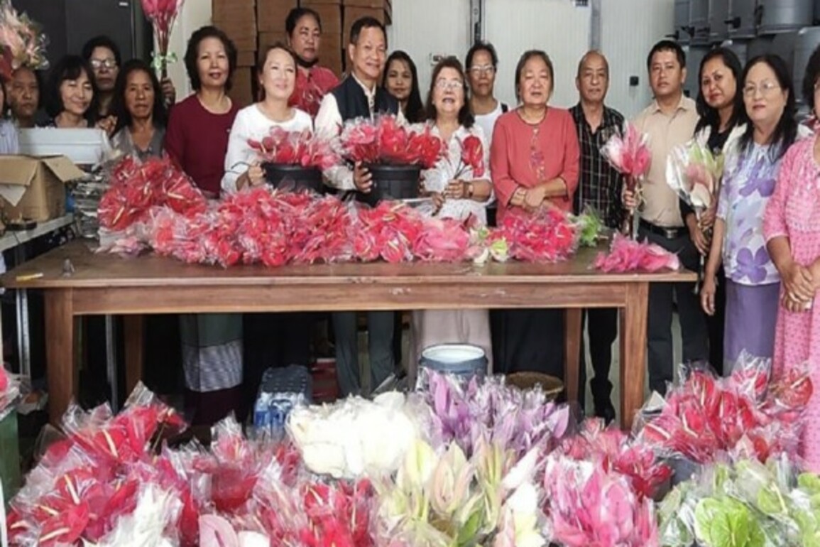 Anthurium flowers from Mizoram go beyond borders, exported first time to Singapore