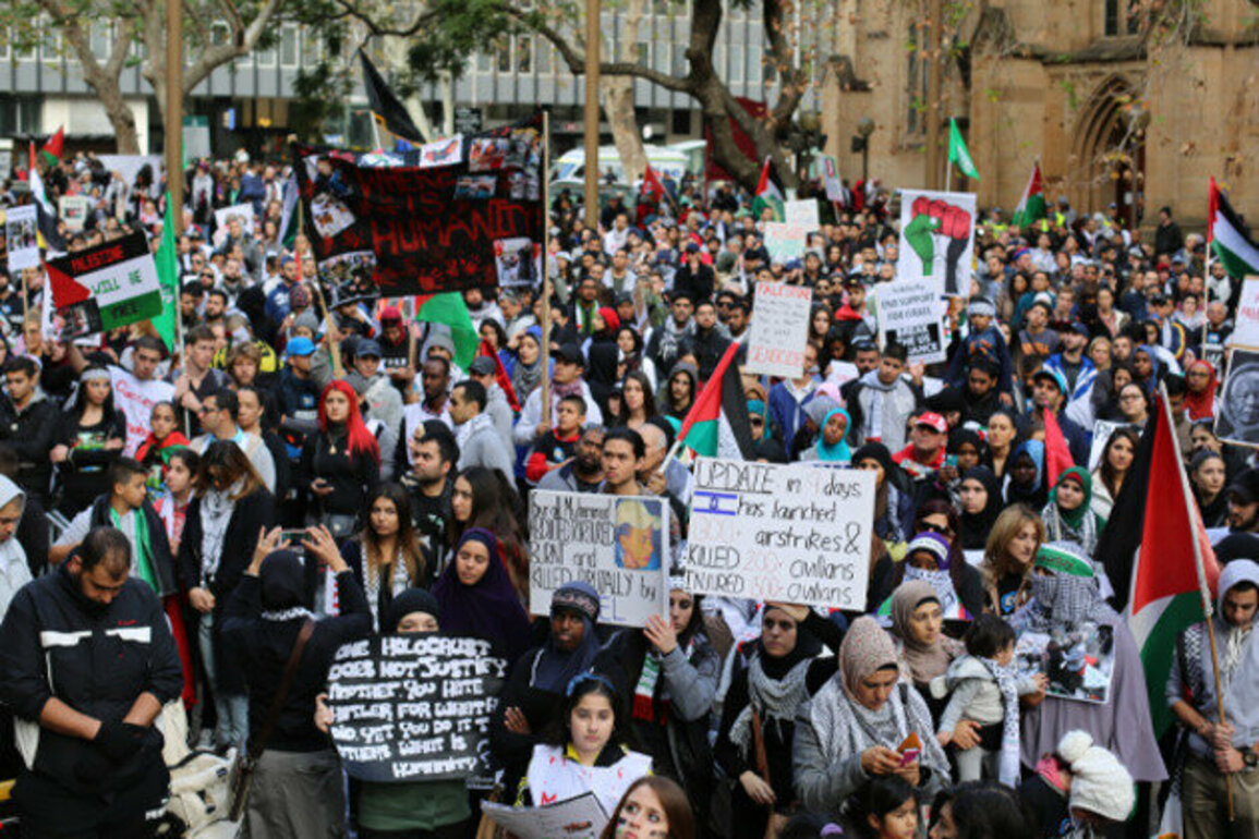 Trusted media vital in cutting through Gaza crisis misinformation