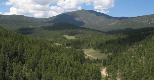Premier American Uranium to acquire Nuclear Fuels
