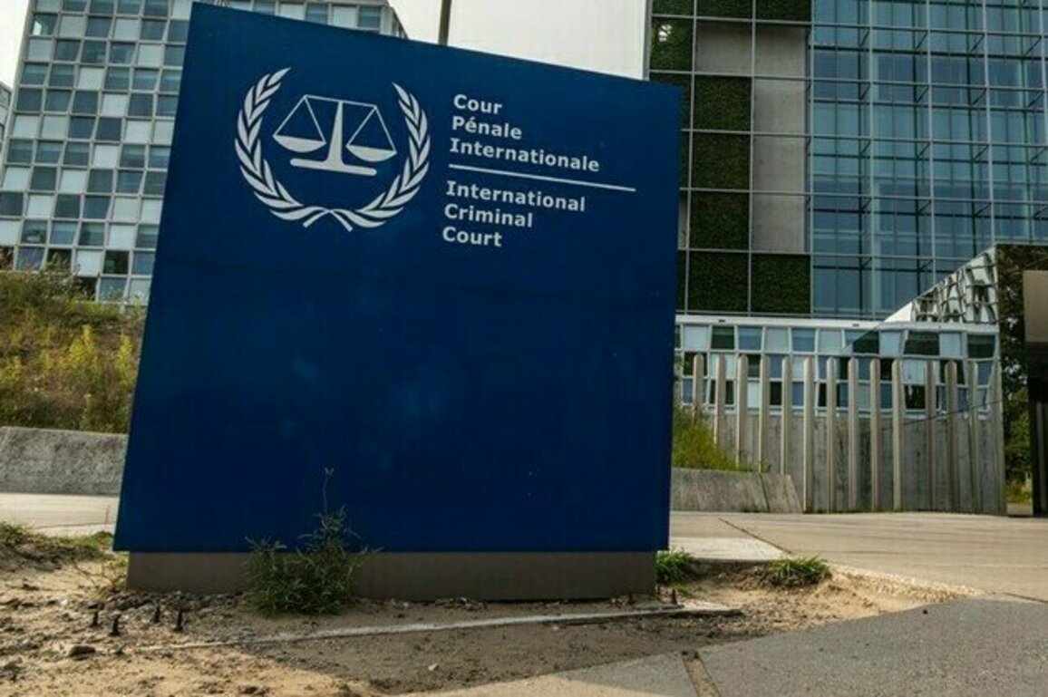 ICC not representative of multipolar world  legal expert