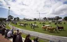  The Perth Royal show has received a handy boost from the government. 