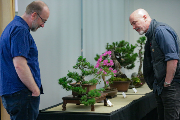 CANADA-SURREY-BONSAI SHOW
