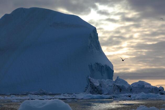 EU, NATO allies rally behind Greenland amid rising Arctic tensions