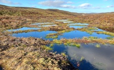 Co-op and RSPB partner to deliver major peatland restoration project
