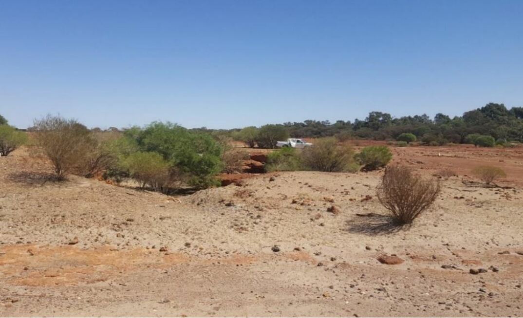 Crown Prince ground, WA