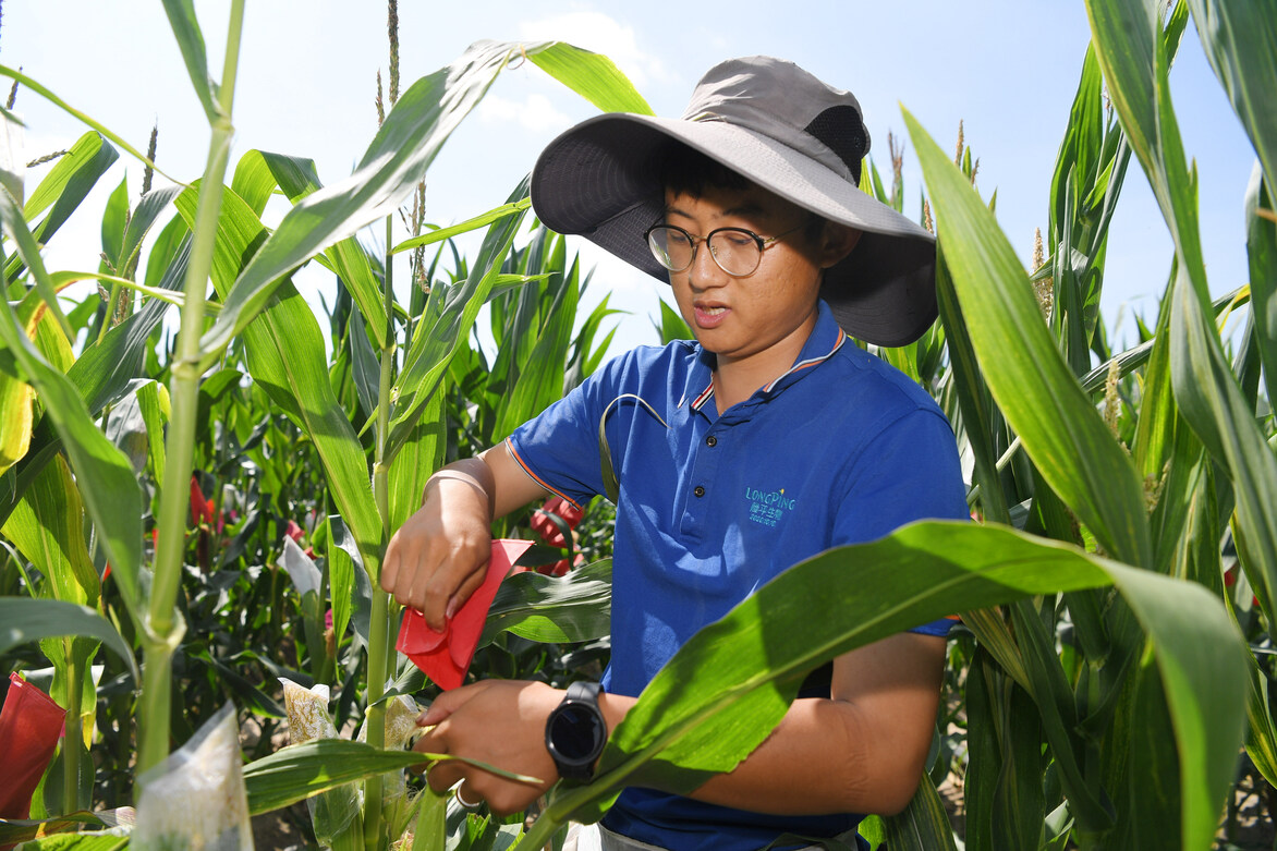 CHINA-HAINAN-SANYA-AGRICULTURAL RESEARCHERS-SEED (CN)