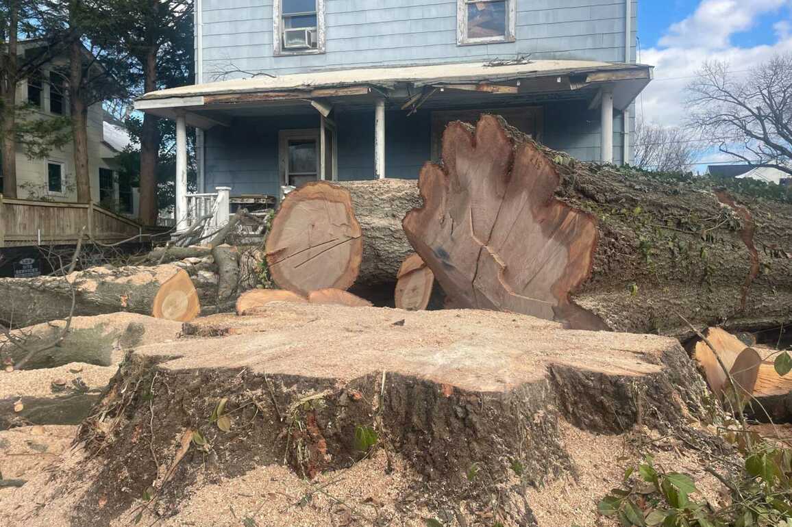 New Arlington conservation proposal raises concerns about loopholes and red tape