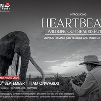 Nitin Gadkari to inaugurate Dr Ramakanta Panda's wildlife photography exhibition at Bikaner House