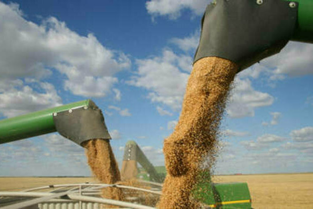 Sharp rise in Russian food exports reported