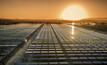 File photo: image of a solar farm