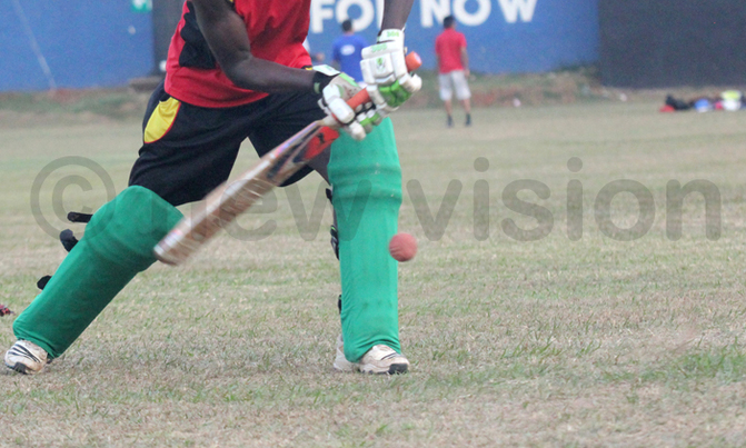 Rampant Patidar begin defence of T20 crown in style Rampant Patidar begin defence of T20 crown in style