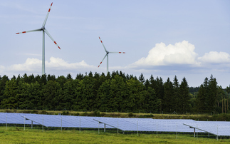 Forestry England and GB Energy to explore potential for woodland solar and wind projects