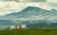 Welsh rural communities face double hit of potential development cuts