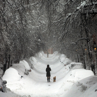 US winter storm causes 850,000 power outages, forces 10,000 flight cancellations