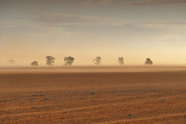Grattan on Friday: Storm clouds avoid the bush, darken over the economy