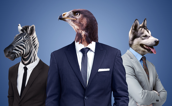 Which beast of the sales and marketing jungle are you?